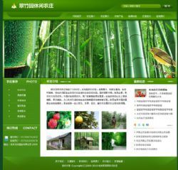 济南免费建网站公司,济南网站建设,济南网上开店,济南淘宝开店培训服务,济南网页设计